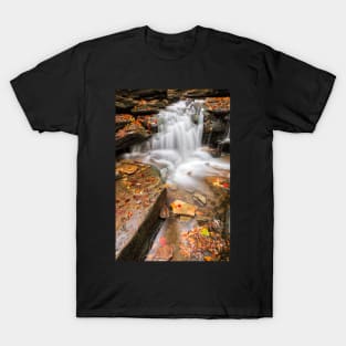 Lowzone Falls T-Shirt